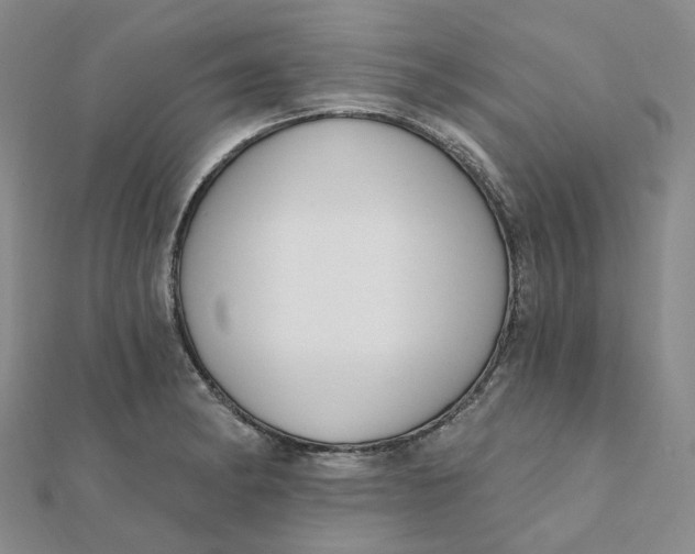 X0000112081182200908251057