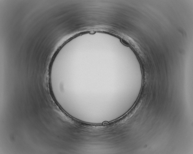 X0000112081184200908251057