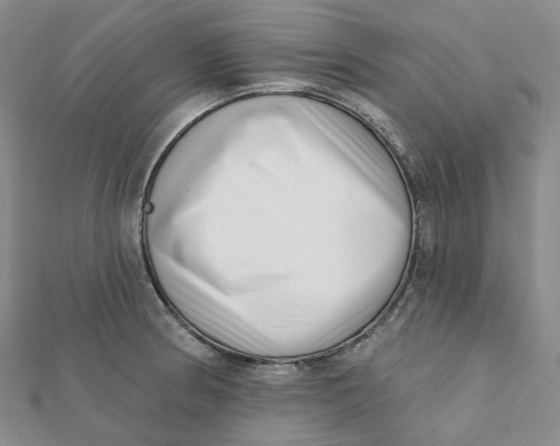 X0000112081186200908251057