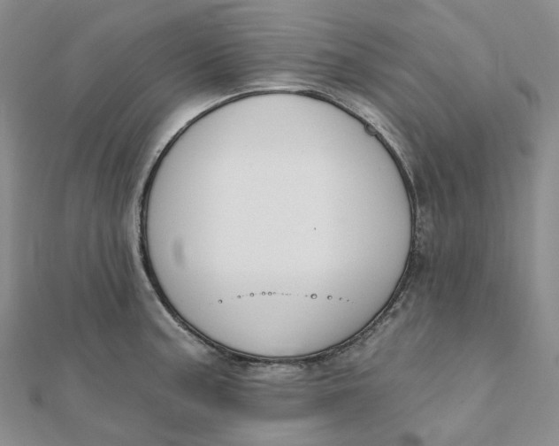 X0000112081187200908251057