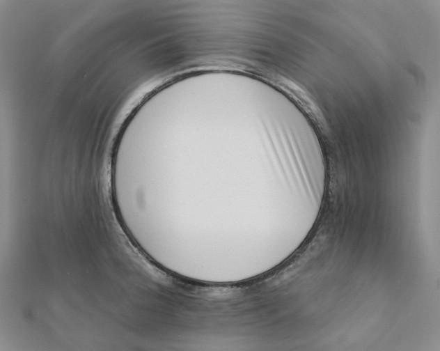 X0000112081188200908251057