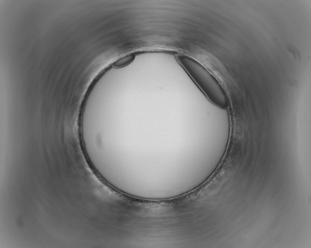 X0000112081189200908251057