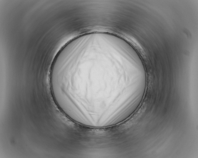 X0000112081190200908251057