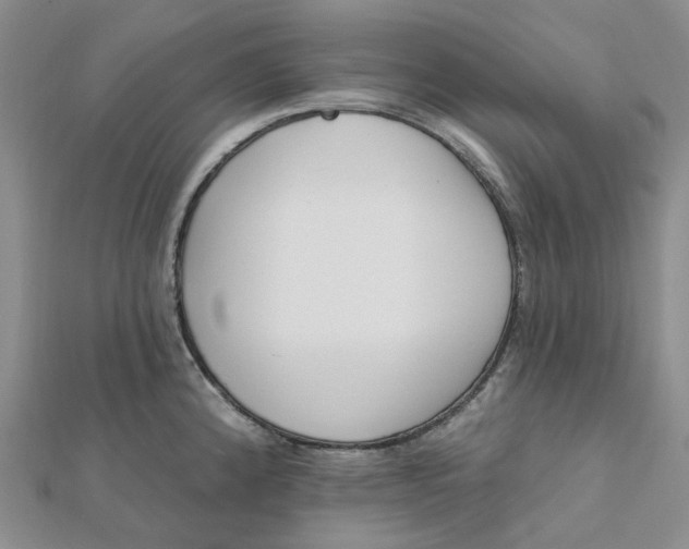 X0000112081192200908251057