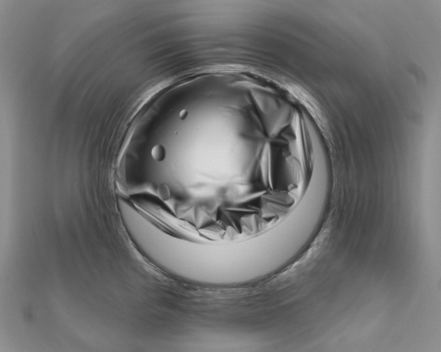 X0000112081193200908251057