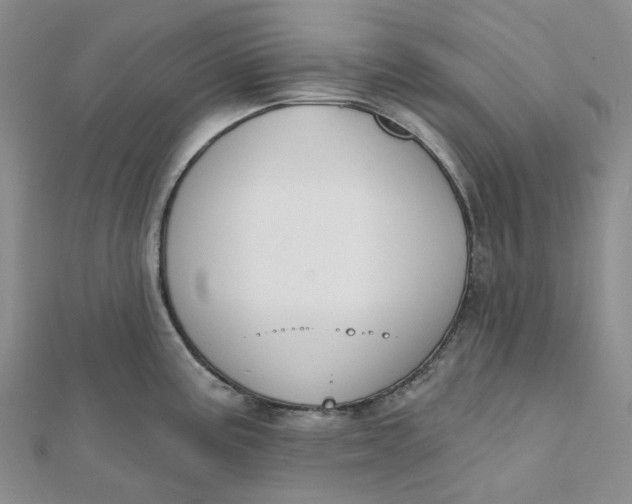 X0000112081195200908251057