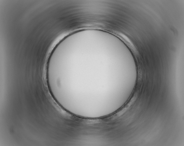 X0000112081196200908251057