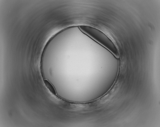 X0000112081197200908251057