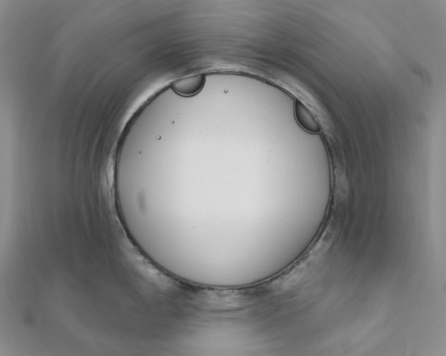 X0000112081198200908251057