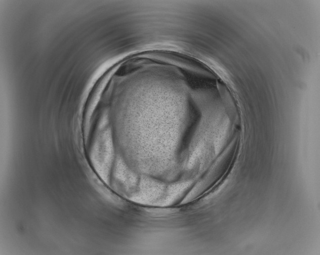 X0000112081200200908251057