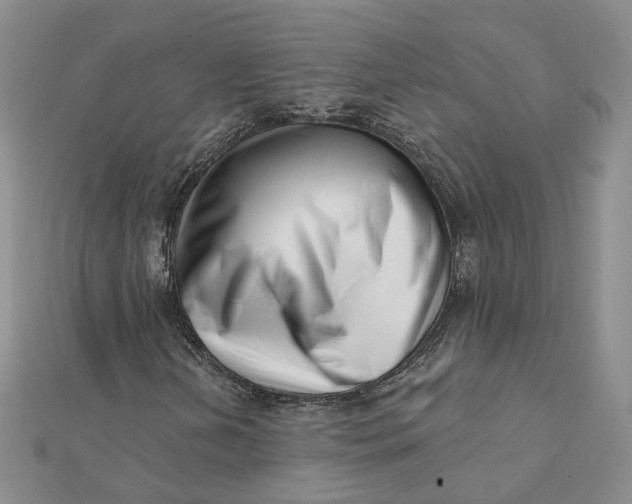 X0000112081202200908251056