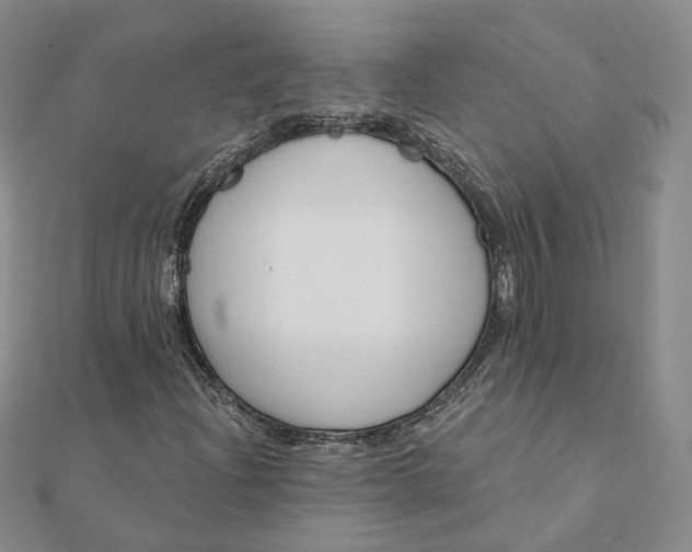 X0000112081204200908251056