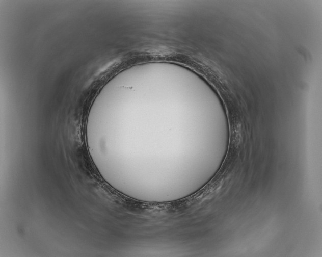 X0000112081205200908251056