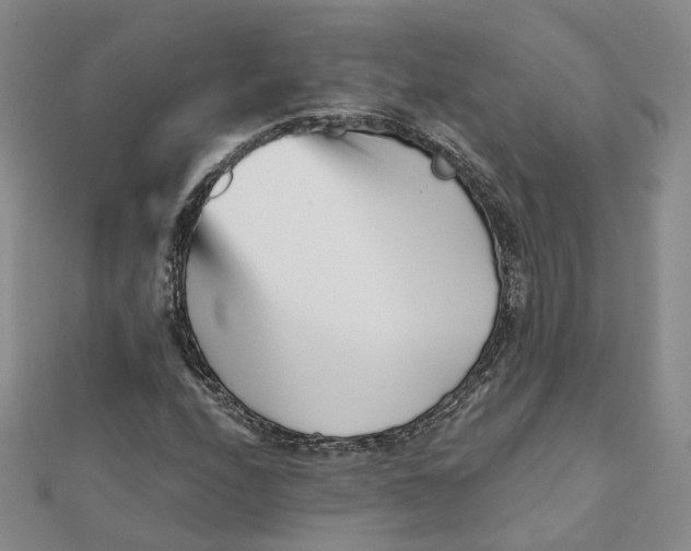 X0000112081208200908251057