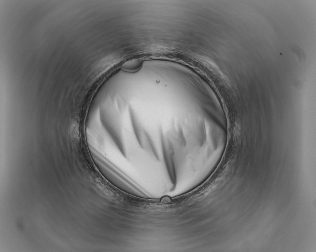 X0000112081209200908251057