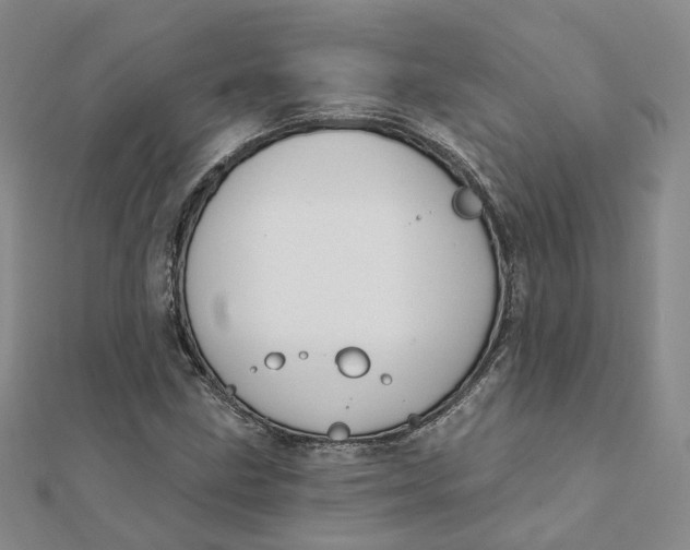 X0000112081211200908251057