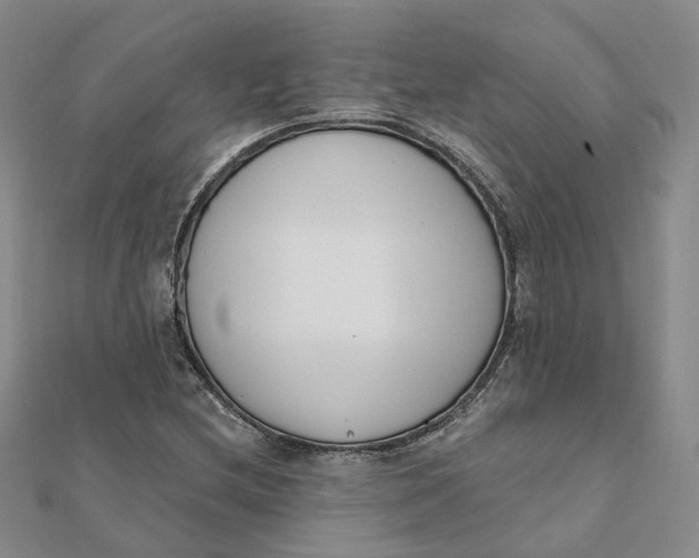 X0000112081212200908251057