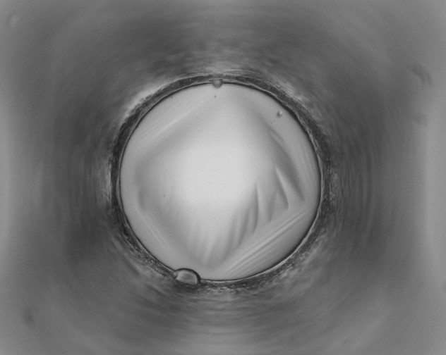 X0000112081214200908251057