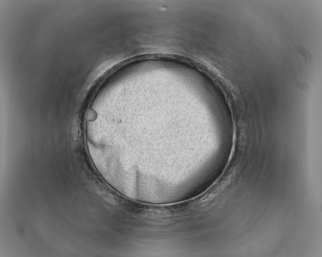 X0000112081215200908251057