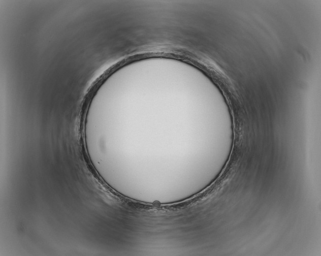 X0000112081216200908251057