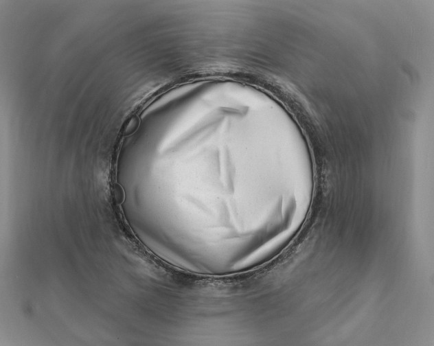 X0000112081217200908251057