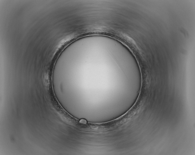 X0000112081218200908251057