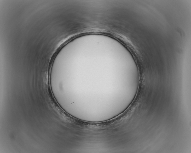 X0000112081220200908251057