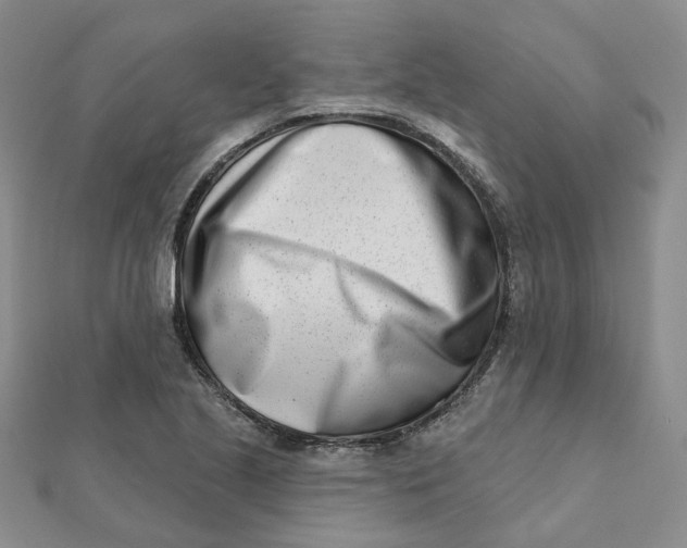 X0000112081221200908251057