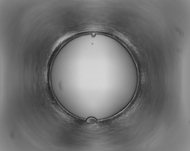 X0000112081222200908251057