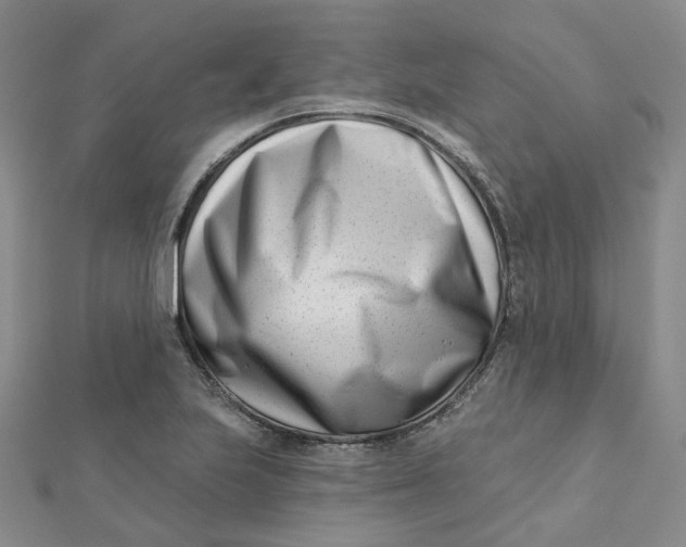 X0000112081223200908251057