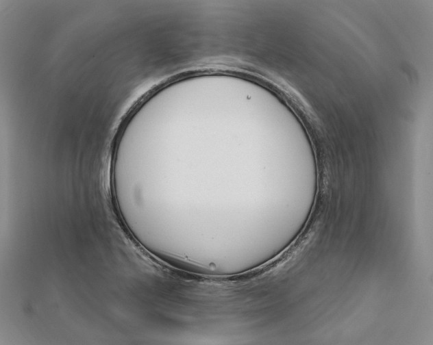 X0000112081224200908251057