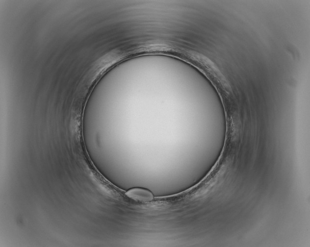 X0000112081225200908251057