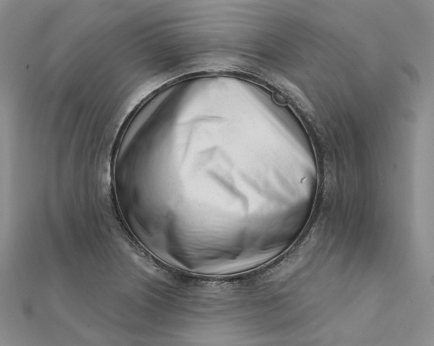 X0000112081226200908251057