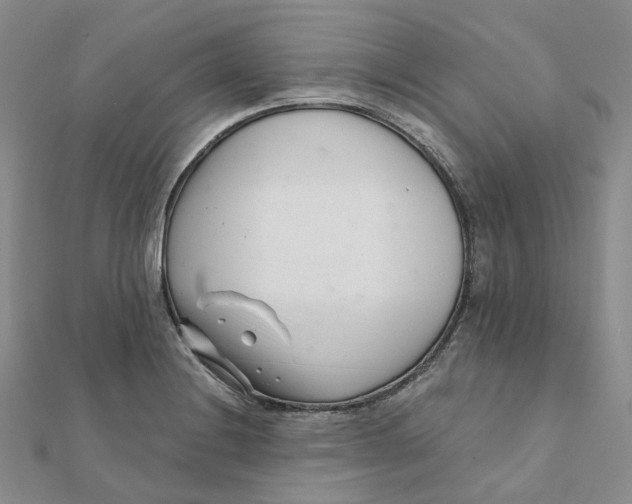 X0000112081228200908251057