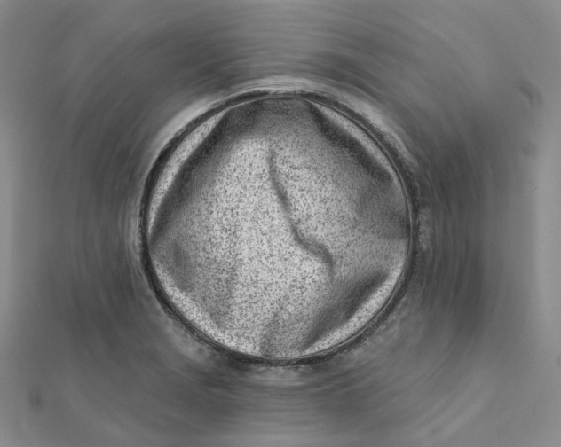 X0000112081229200908251057