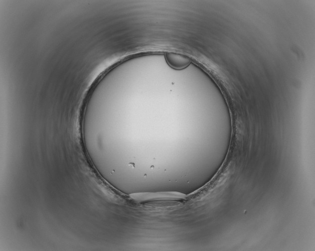 X0000112081230200908251057