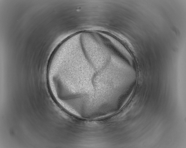 X0000112081231200908251057