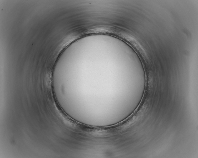 X0000112081233200908251057