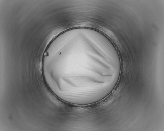 X0000112081234200908251057