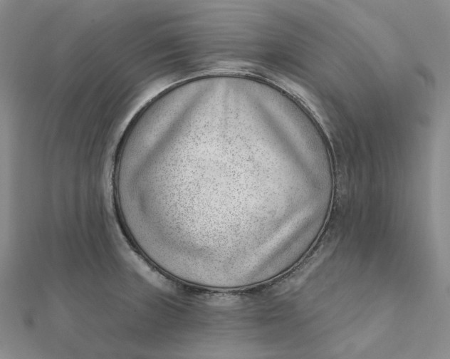 X0000112081235200908251057