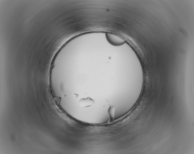 X0000112081236200908251057