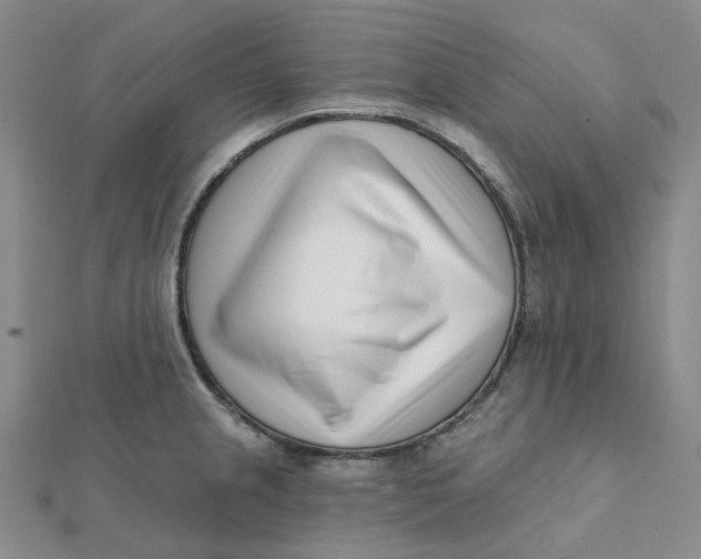 X0000112081237200908251057