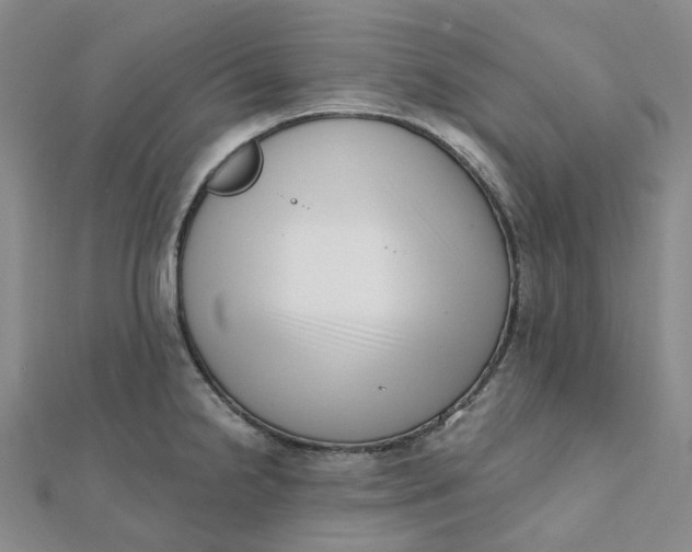 X0000112081238200908251057