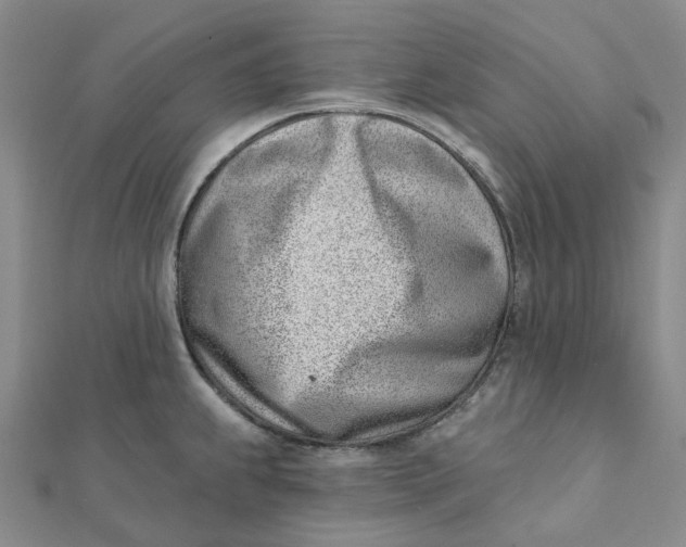 X0000112081239200908251057