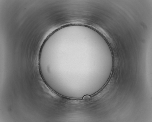 X0000112081240200908251057