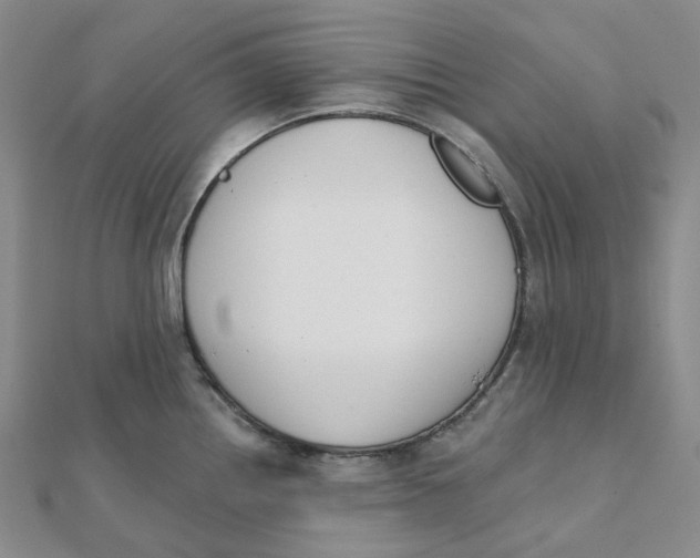 X0000112081242200908251057