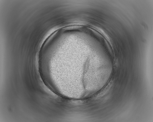 X0000112081243200908251057