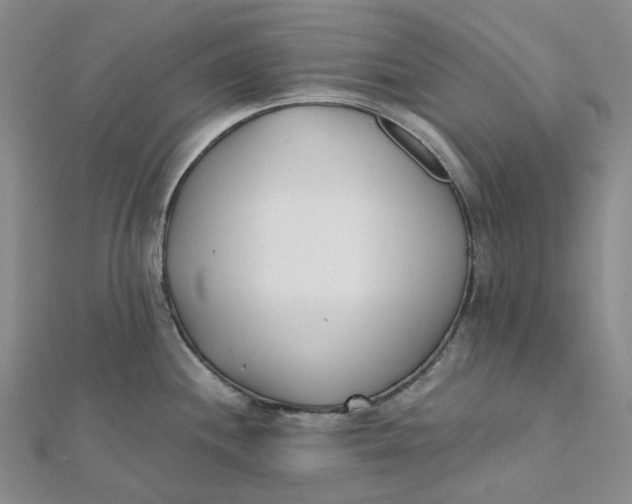 X0000112081244200908251057