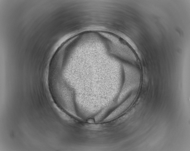 X0000112081245200908251057