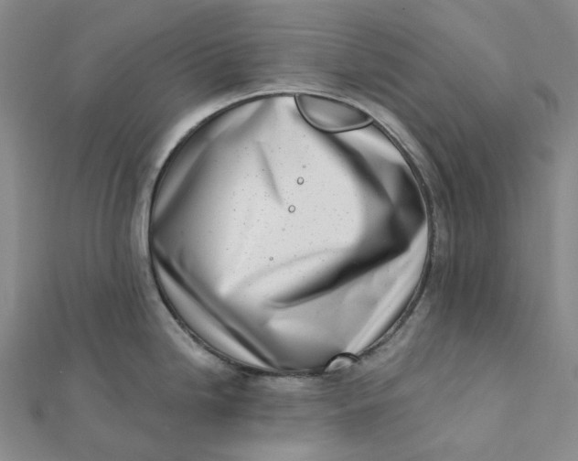 X0000112081246200908251057